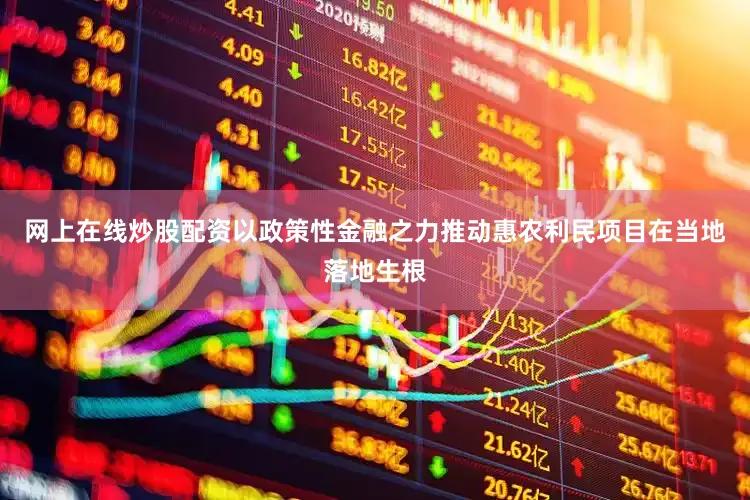 网上在线炒股配资以政策性金融之力推动惠农利民项目在当地落地生根