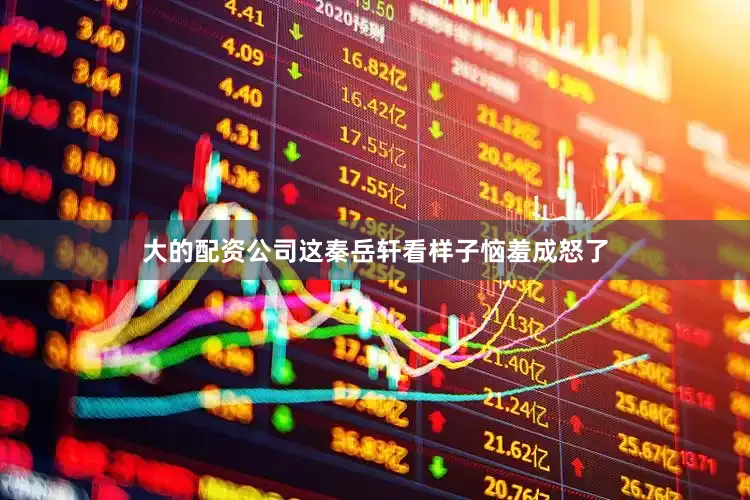 大的配资公司这秦岳轩看样子恼羞成怒了