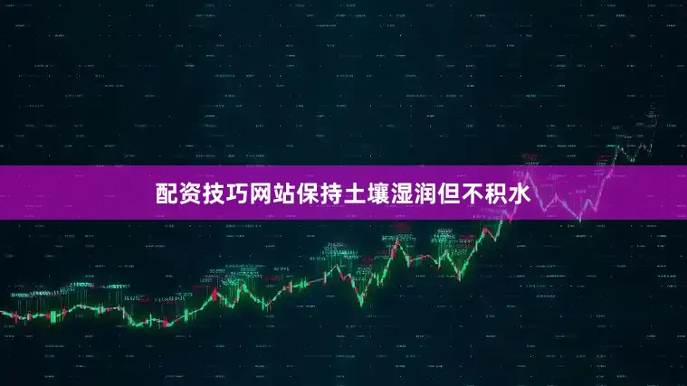 配资技巧网站保持土壤湿润但不积水